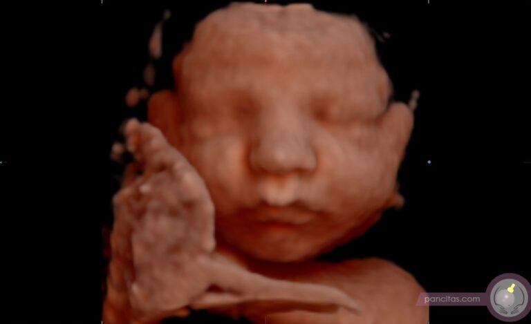 Image Gallery - Little Bellies Ultrasound 2D/3D/4D - 5D/HD & Pregnancy Spa